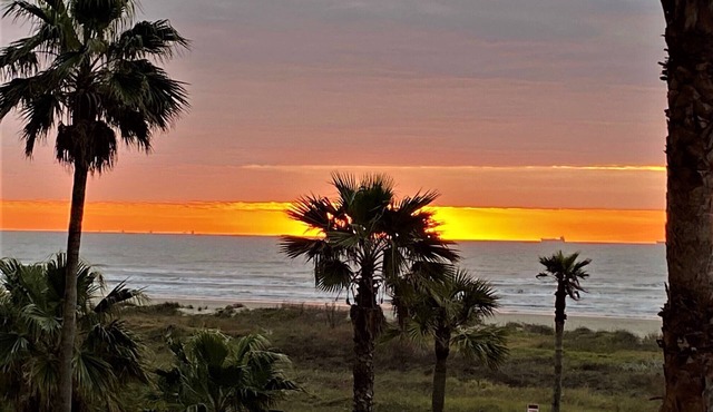 1-br 2balcony Galvestonian condo directly on beach! No highway! Close to Strand