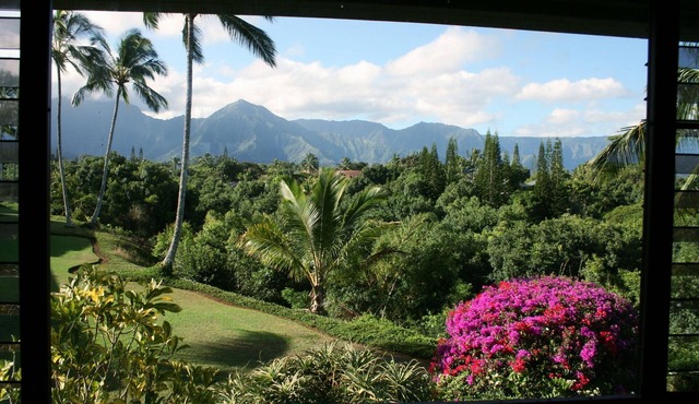 100% Renovated Luxury Condo with Ocean/Jungle/Mountain/Waterfall Views