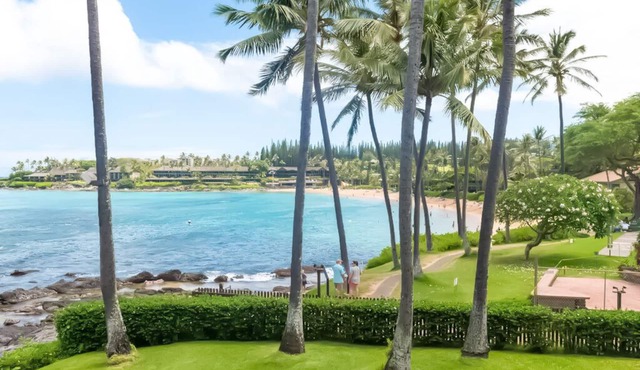 163 Ten Star Reviews out of 163, AMAZING, Maui Magic, A206 with AC, BEACHFRONT