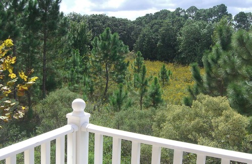 West Kissimmee Villa | 4 Bedroom Villa 2 Miles from Disney Entrance Kissimmee off Us192