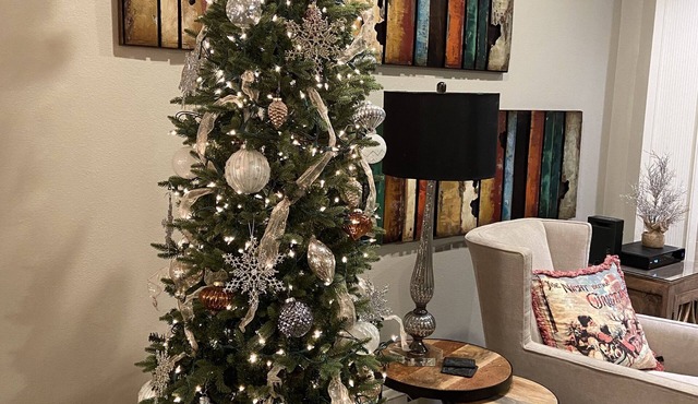 5 Star MLK Avail SKI In/Out VILLAGE AT BRECK Mountain Side Ski School FAMILY FUN