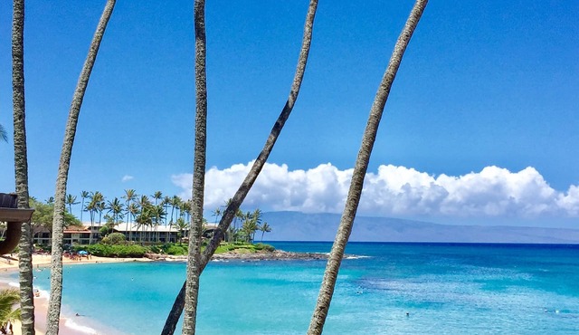 A/C OCEAN VIEW LUXURIOUS HAWAIIAN GEM