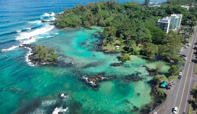 A Tropical Paradise 2 Bed/1bath. Stunning Bay and Ocean Views