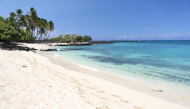 Ainamalu at Waikoloa Beach Resort