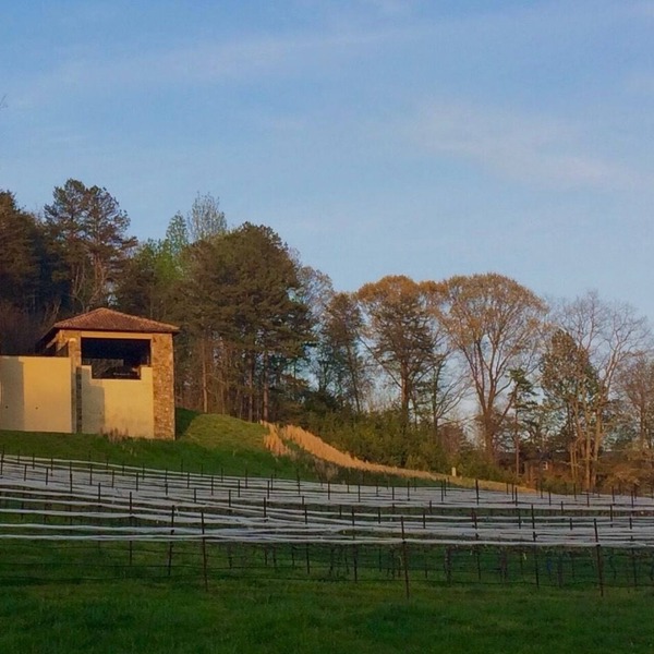 Authentic Italian Villa Overlooking Vineyard at Montaluce lic #5210 Lumpkin Cty