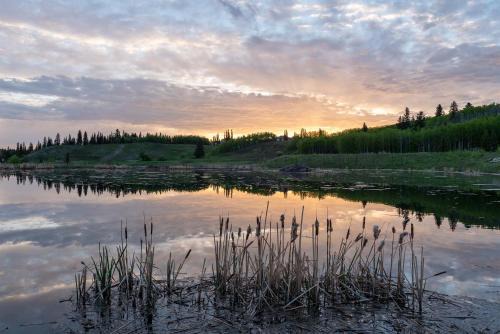 Basement Suite in Calgary - Short Drive to Banff