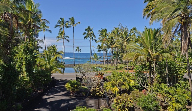 Best Hilo Location @ Richardsons Beach Park, Swimming, Snorkeling Sleeps 8-Save$
