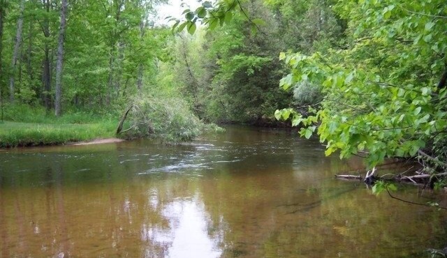 Betsie River Frontage with view of Crystal Mt.