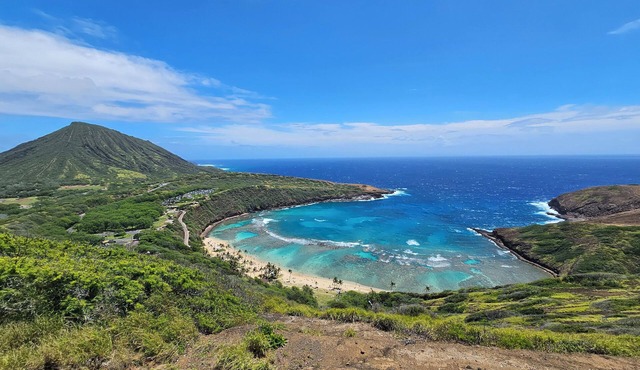 Central tropical streamside retreat $0 CLEANING FEE. Ask about shorter stays.