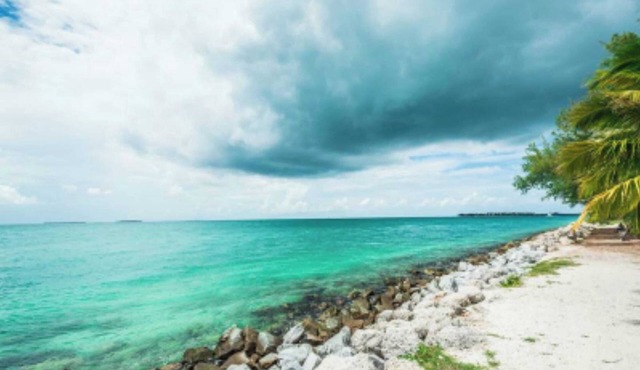 Coral Garden by Avantstay Great Location w/Balcony & Shared Pool