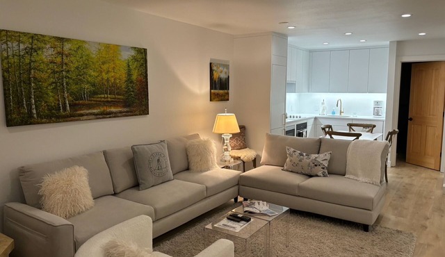 Deluxe private townhome minutes walk to Aspen Mountain skiing and downtown!