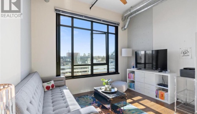 Downtown one bedroom apartment 2