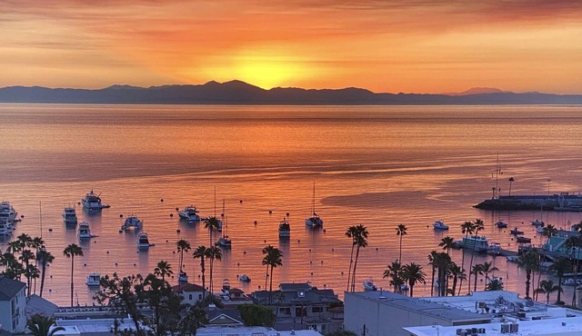 Eagle’s Nest | Voted Best Panoramic View in Avalon