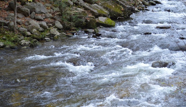 Econo Lodge Inn & Suites On The River