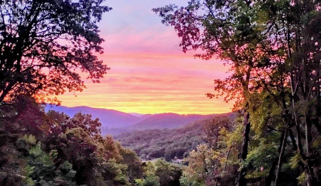 Hummingbirds Haven w/Heavenly Mountain Views Dog Friendly!