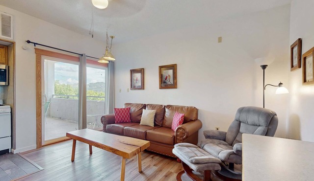 Inviting condo w/free attraction tickets, views, pool, fireplace, & balcony