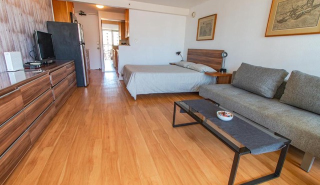 ISLAND COLONY STUDIO 2017