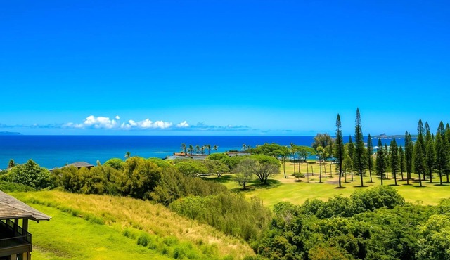 Kapalua Ridge Villas by KBM