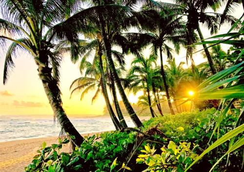 KBM Resorts FREE CAR Islands at Mauna Lani Newly renovated ground floor 2-Bedroom Condo IML-E4