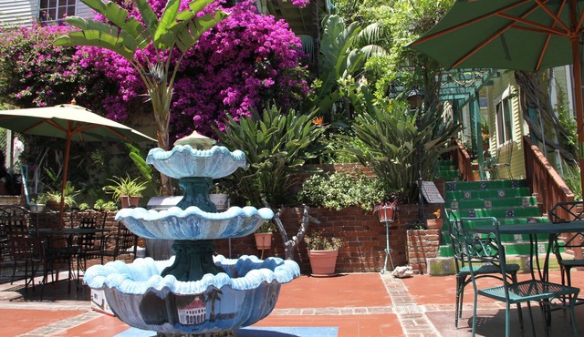 La Paloma Las Flores