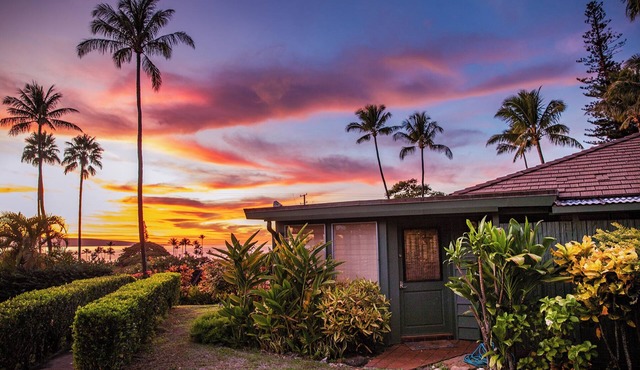 Maui is calling you back! Enjoy our Ocean View Cottage- 200+ Rave Reviews Await!