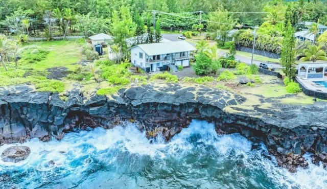 Mele Kohola Song Of The Whales