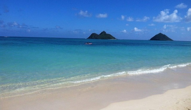 New Listing! Beautiful Newer Luxury Home Centrally Located