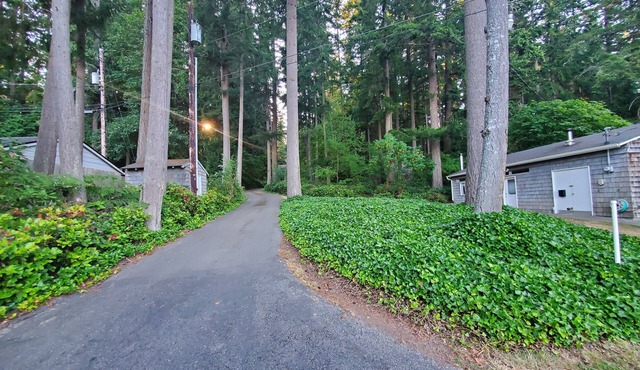 Near beach cottage in quiet forest location, steps from pristine shellfish beach