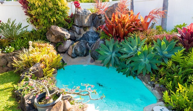 NEWLY REMODELED Napili Bay Condo - 1 Bdrm