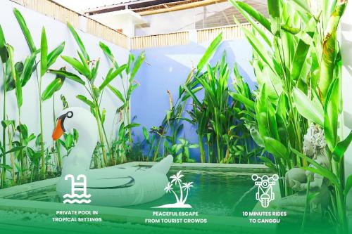 Peacock Private Pool Paradise