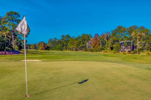 Pet Friendly King Sleeper Sofa Sleeps 4 Bikes & Beach Gear included