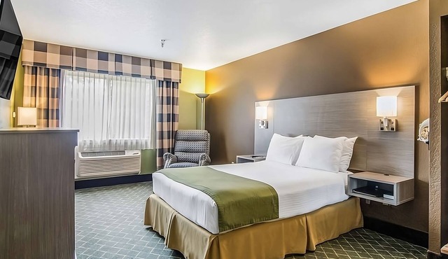 Pets are Allowed in GuestHouse Poulsbo! With Free Parking Onsite & Breakfast!