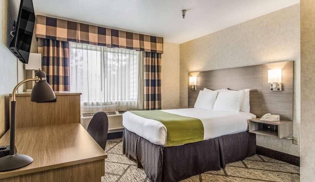 Relaxing Getaway in GuestHouse Poulsbo with FREE Parking & Bfast, Pets Allowed!