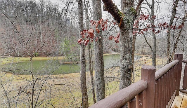 Smoky Mountain Cabin w/Fireplace