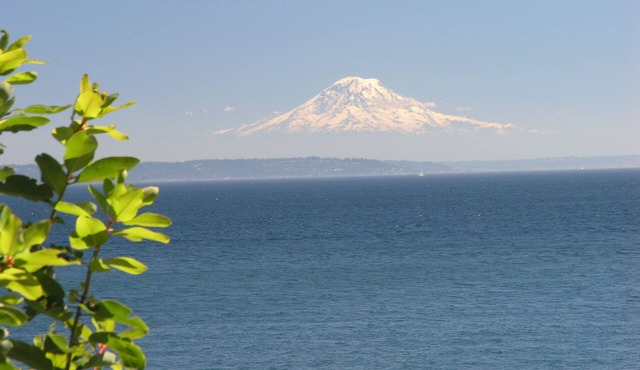 South Beach Cozy Cottage - Waterfront Perfection