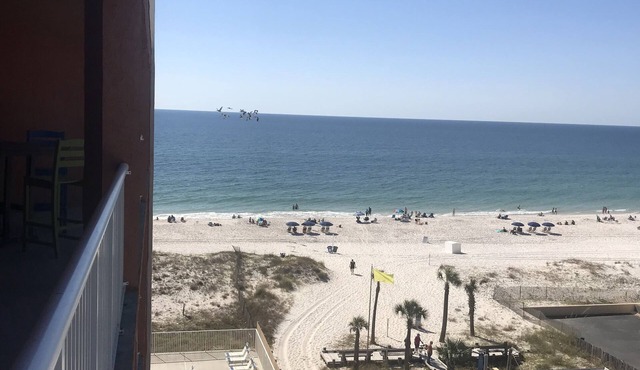 Spacious 6th Floor Condo, Large Balcony, Spectacular Gulf View