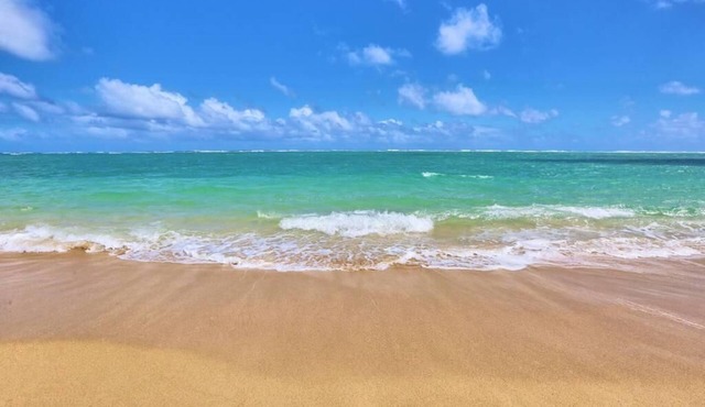 Stunning Views Best Locale Hilo 2BRCondo