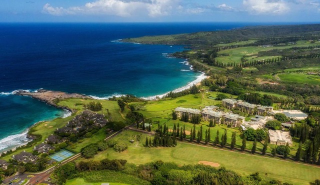 The Ritz-Carlton Maui, Kapalua