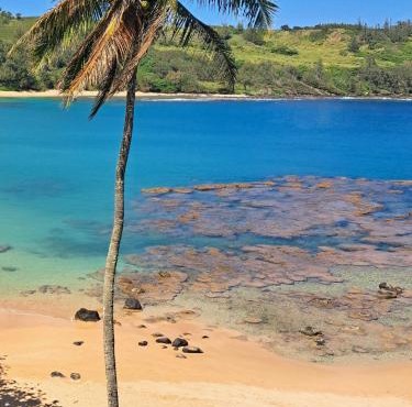 This is it! Dreamy Beach, Stunning Views, Awesome Location 10 guest limit