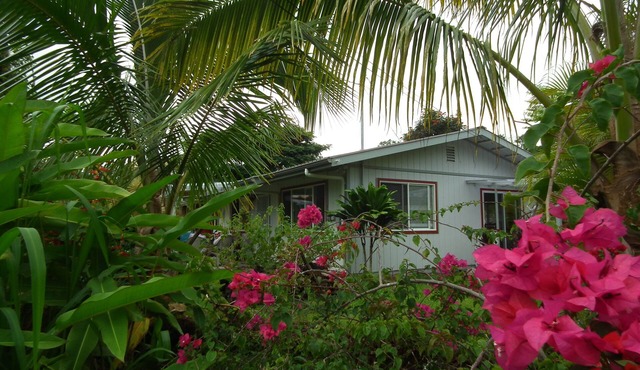 Top Five Rated Vacation Rental In Pahoa , Come Relax with Us!