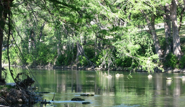 Treetop Retreat on the Guadalupe Ultra Private 3rd Floor End Unit